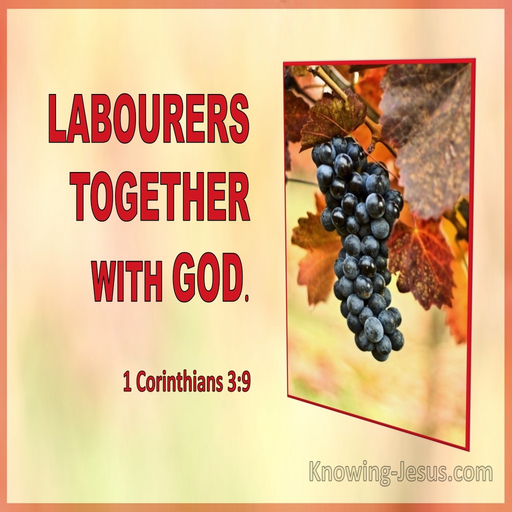 1 Corinthians 3:9 Labourers Together With God (utmost)04:23